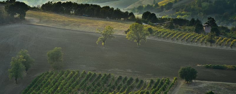 case vendita provincia modena